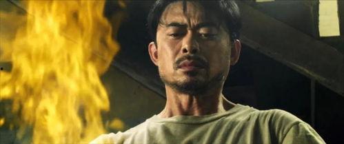 樊少皇电影在线观看,重温经典武侠传奇  第1张