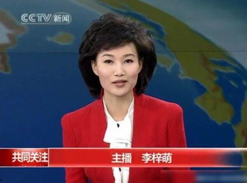 新闻主持人被爆料,真相背后引人深思 第1张 新闻主持人被爆料,真相背后引人深思 第1张